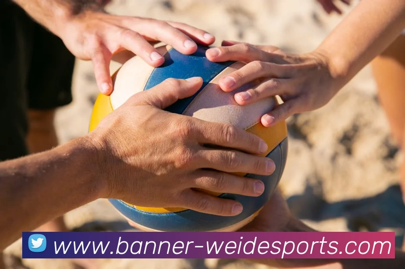 伟德体育APP 封面图